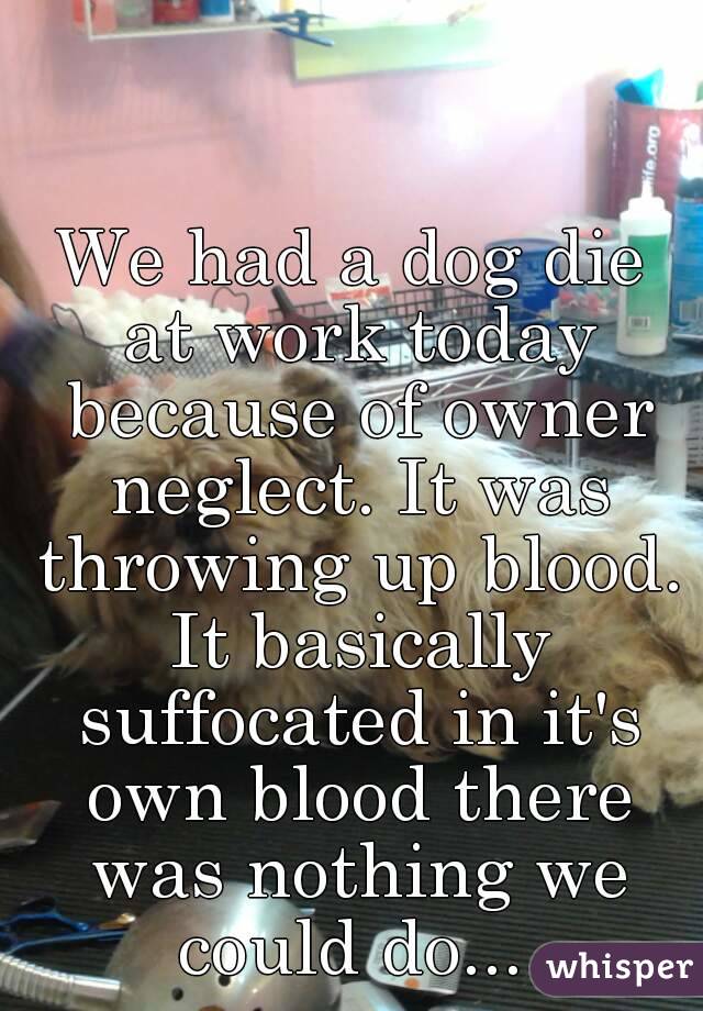 We had a dog die at work today because of owner neglect. It was throwing up blood. It basically suffocated in it's own blood there was nothing we could do... 