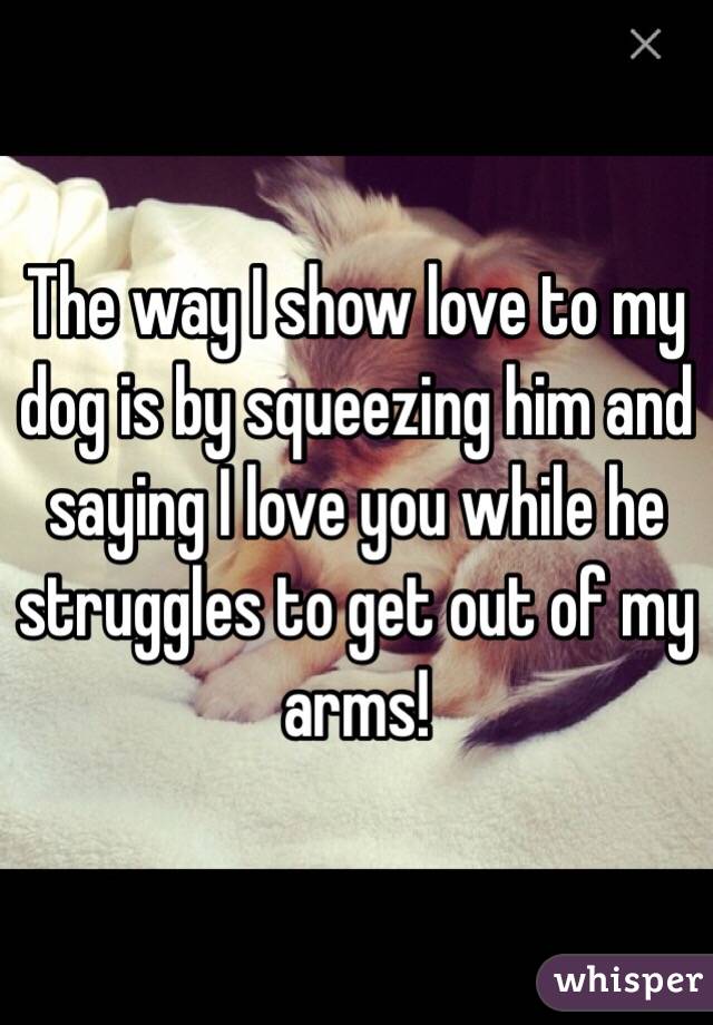 The way I show love to my dog is by squeezing him and saying I love you while he struggles to get out of my arms!