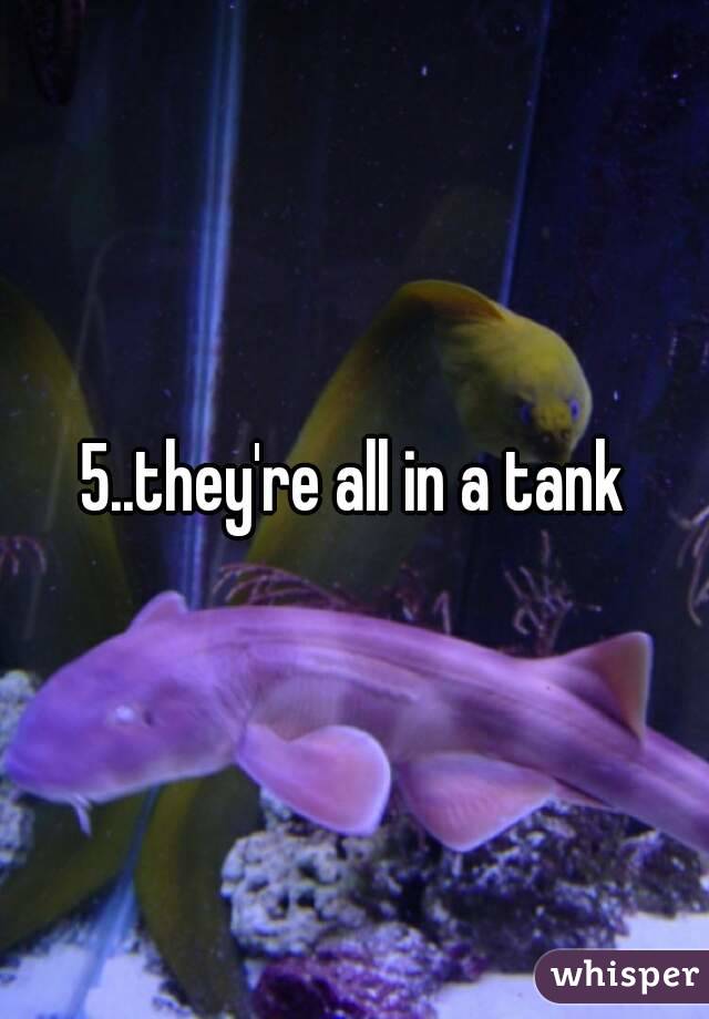 5..they're all in a tank