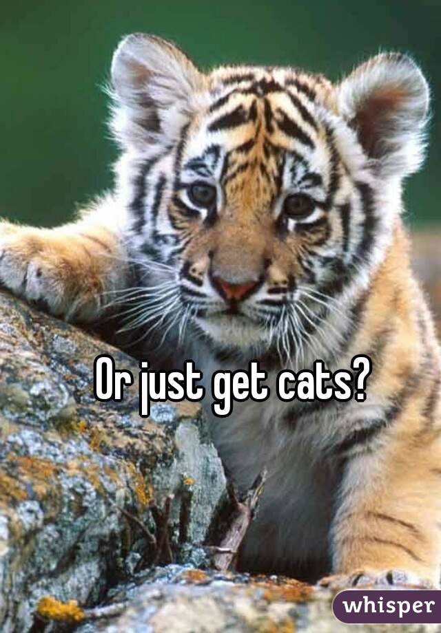 Or just get cats?