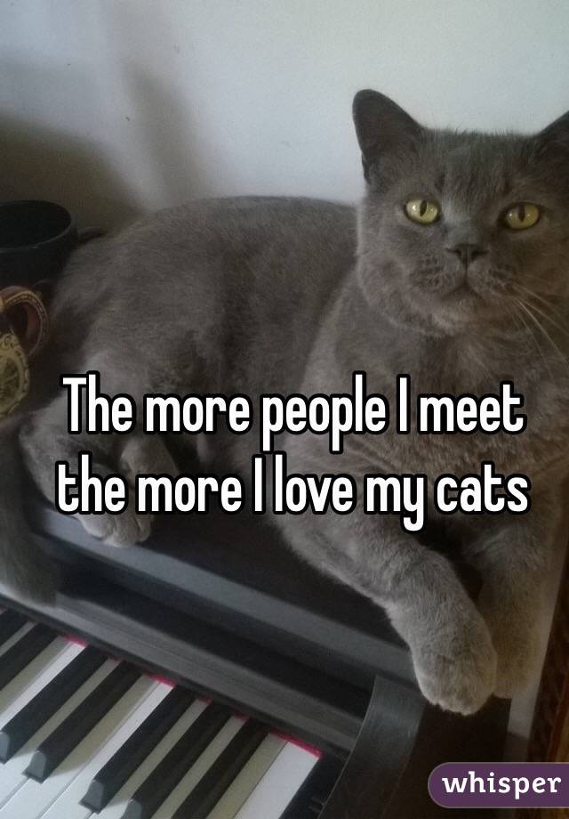 The more people I meet the more I love my cats