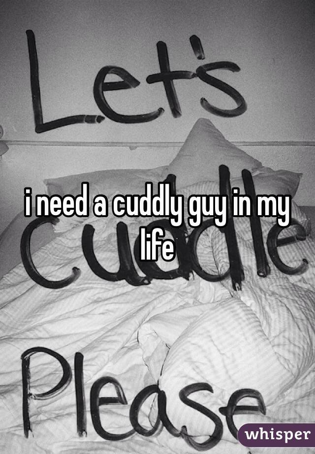 i need a cuddly guy in my life