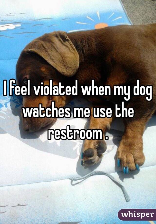 I feel violated when my dog watches me use the restroom . 