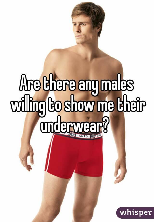 Are there any males willing to show me their underwear?  