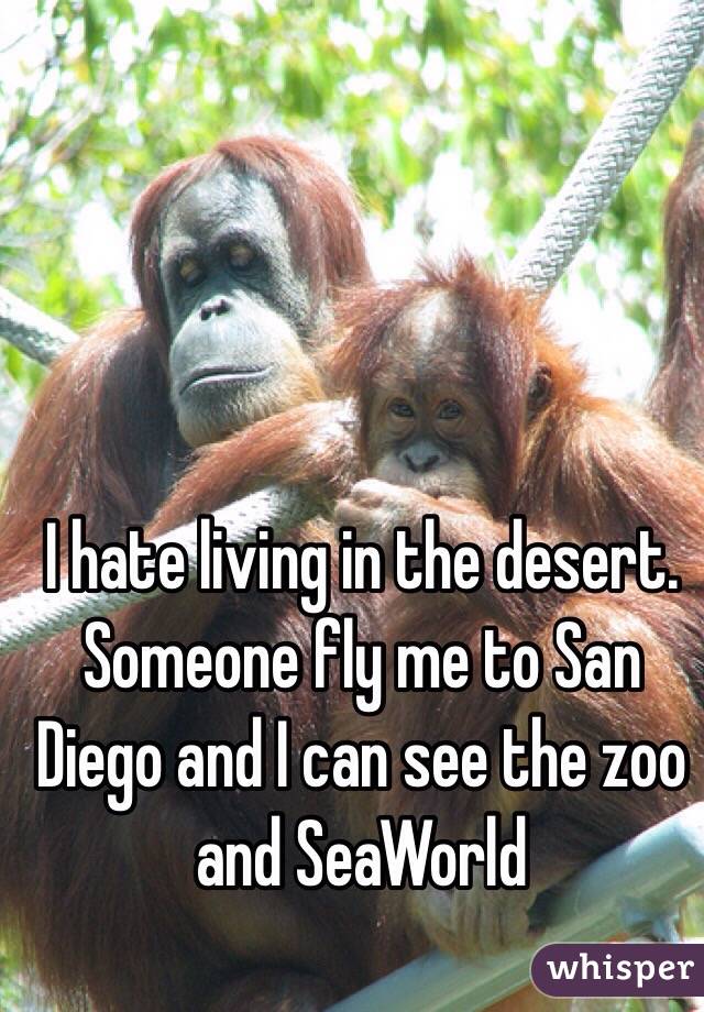 I hate living in the desert. Someone fly me to San Diego and I can see the zoo and SeaWorld 