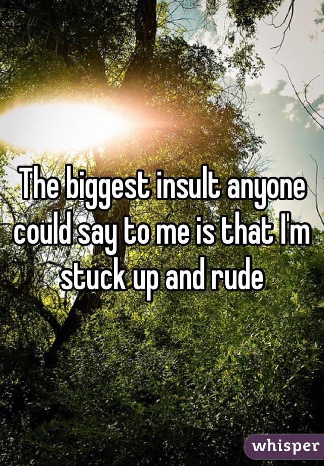 The biggest insult anyone could say to me is that I'm stuck up and rude 