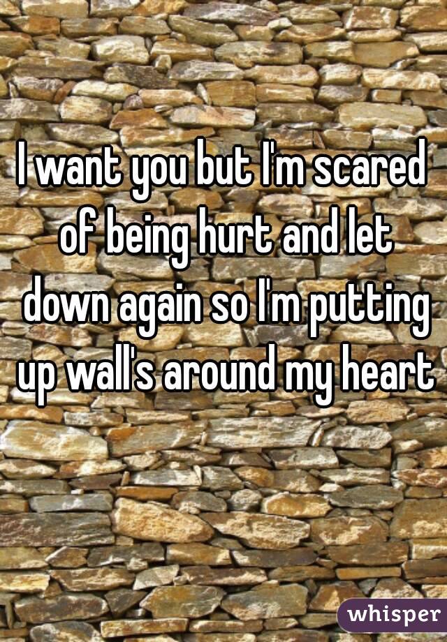 I want you but I'm scared of being hurt and let down again so I'm putting up wall's around my heart 