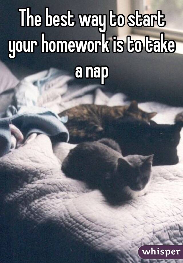 The best way to start your homework is to take a nap
