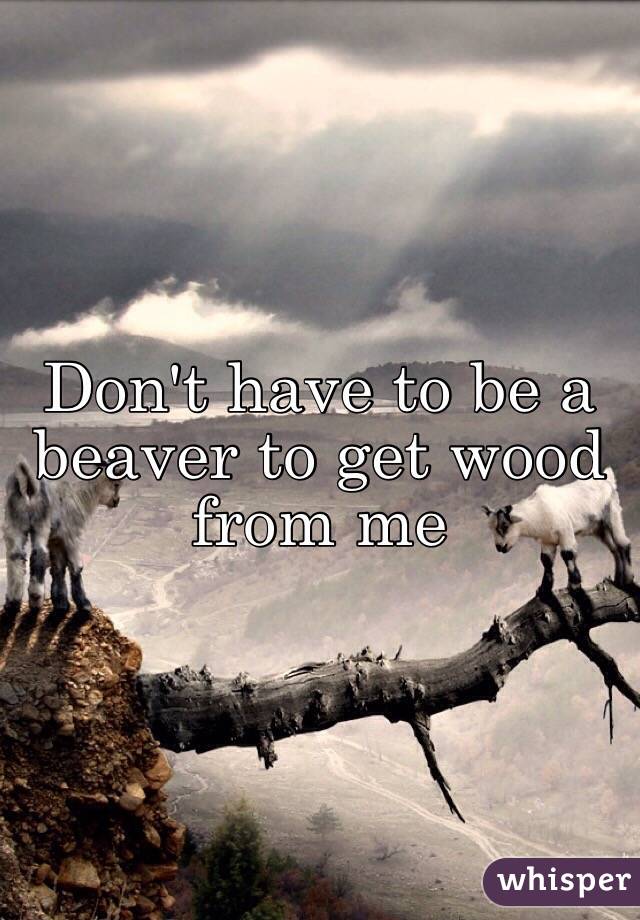 Don't have to be a beaver to get wood from me