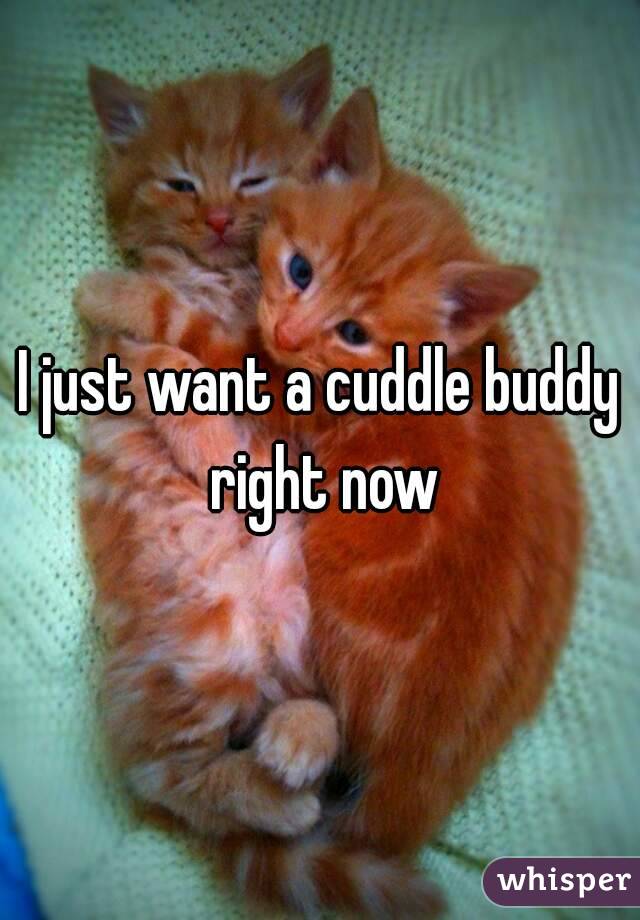 I just want a cuddle buddy right now