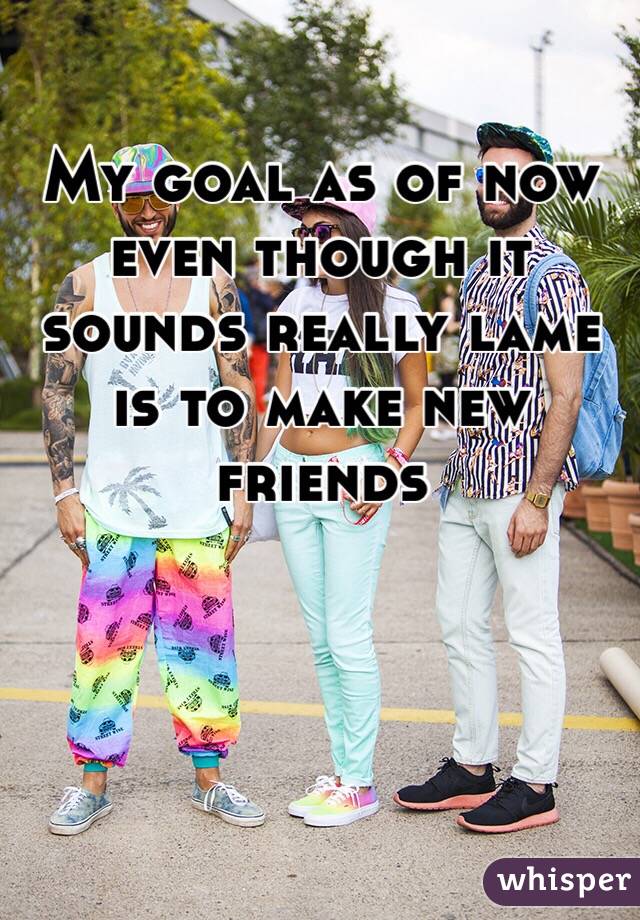 My goal as of now even though it sounds really lame is to make new friends