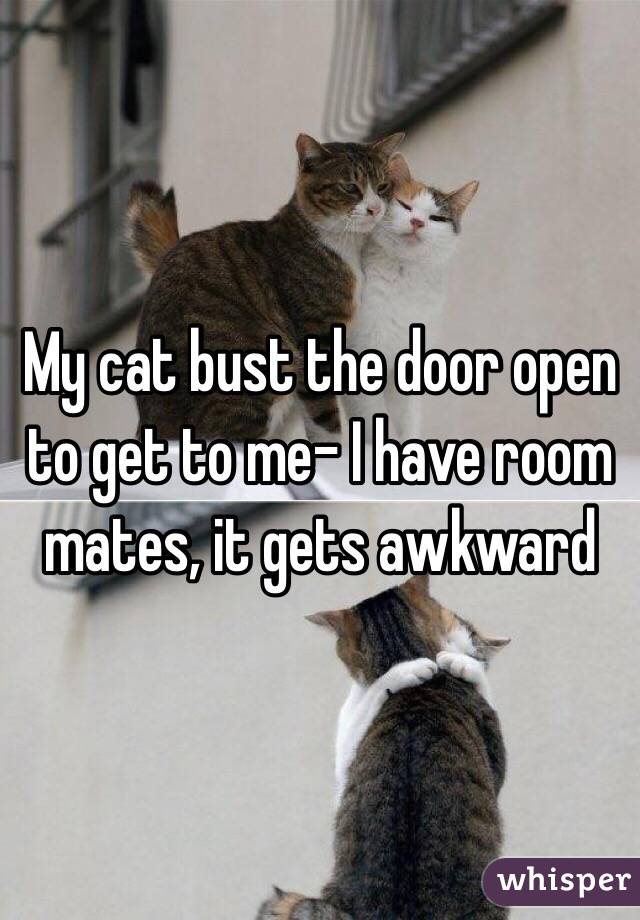 My cat bust the door open to get to me- I have room mates, it gets awkward 
