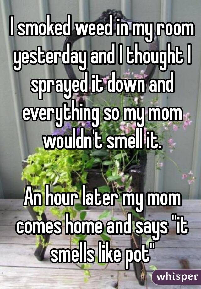 I smoked weed in my room yesterday and I thought I sprayed it down and everything so my mom wouldn't smell it.

An hour later my mom comes home and says "it smells like pot"