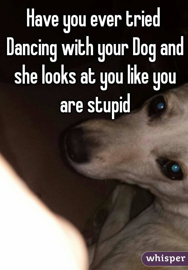 Have you ever tried Dancing with your Dog and she looks at you like you are stupid
