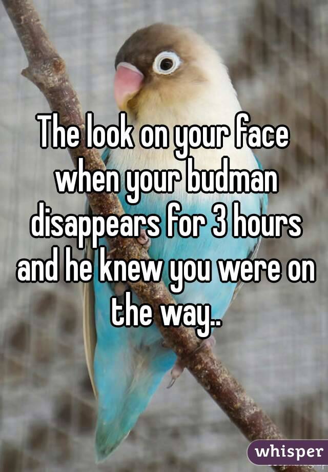 The look on your face when your budman disappears for 3 hours and he knew you were on the way..