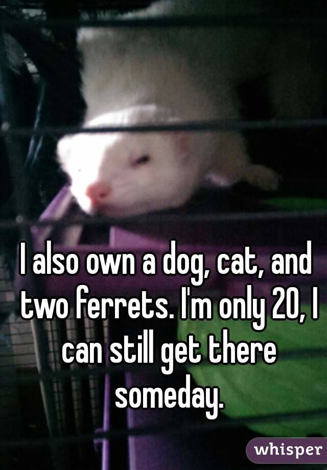 I also own a dog, cat, and two ferrets. I'm only 20, I can still get there someday.