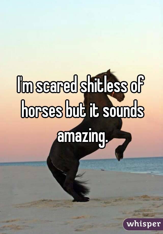 I'm scared shitless of horses but it sounds amazing.