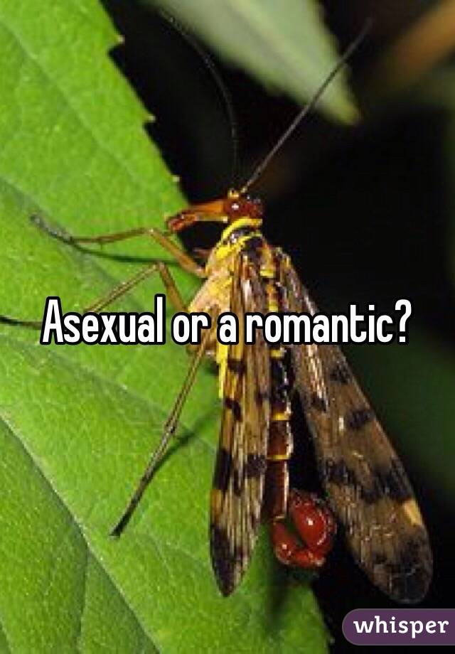 Asexual or a romantic? 