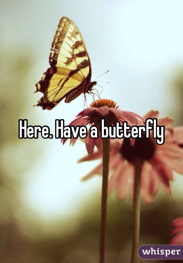 Here. Have a butterfly