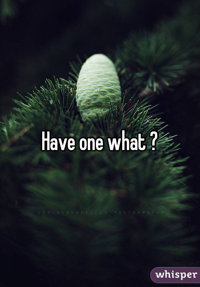 Have one what ?