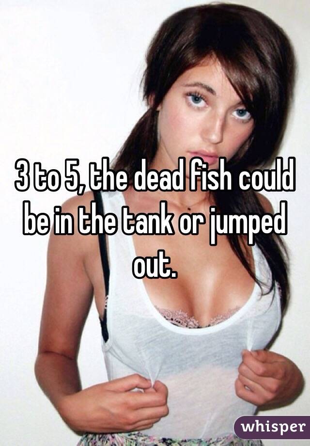 3 to 5, the dead fish could be in the tank or jumped out.