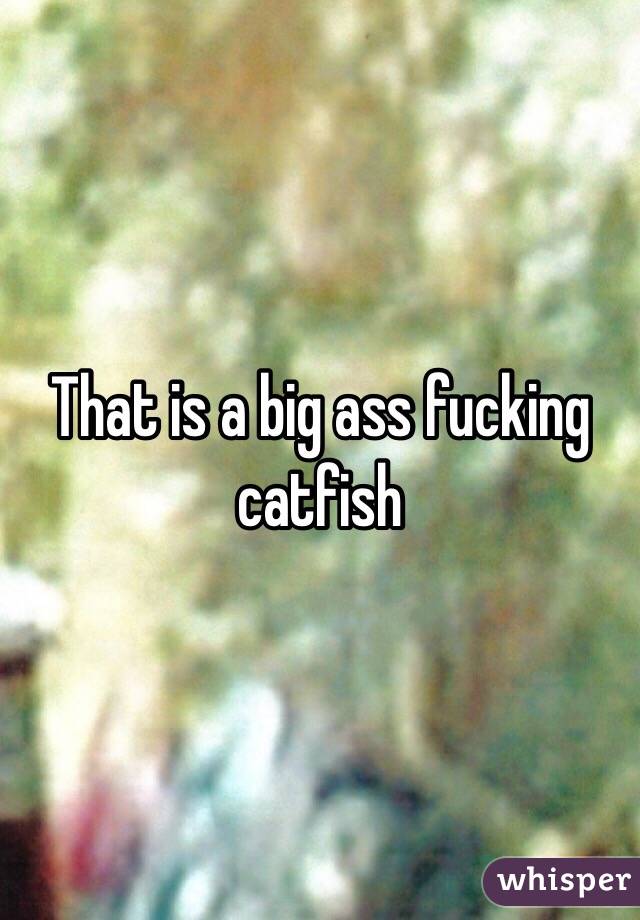 That is a big ass fucking catfish