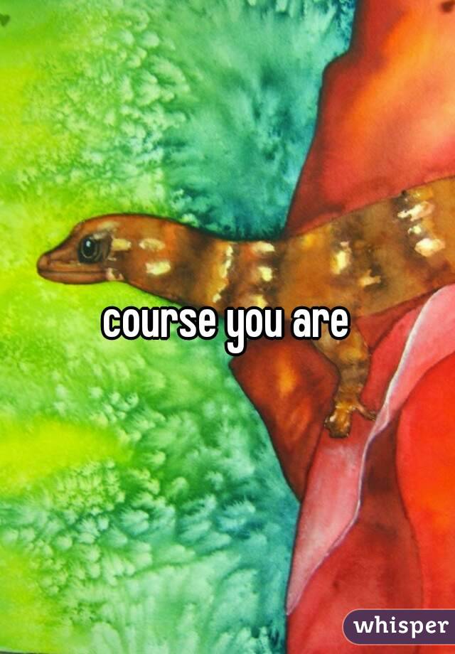 course you are