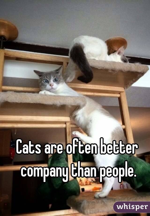 Cats are often better company than people.