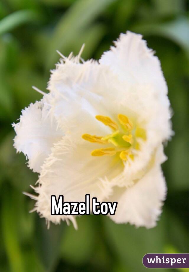 Mazel tov 