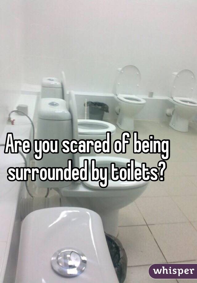 Are you scared of being surrounded by toilets?