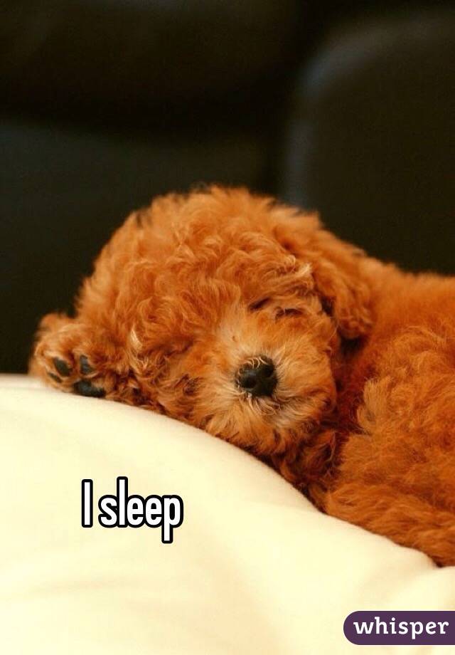 I sleep 