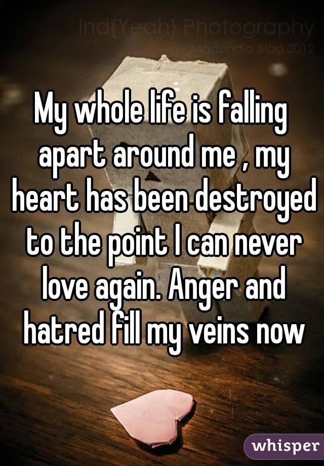 My whole life is falling apart around me , my heart has been destroyed to the point I can never love again. Anger and hatred fill my veins now