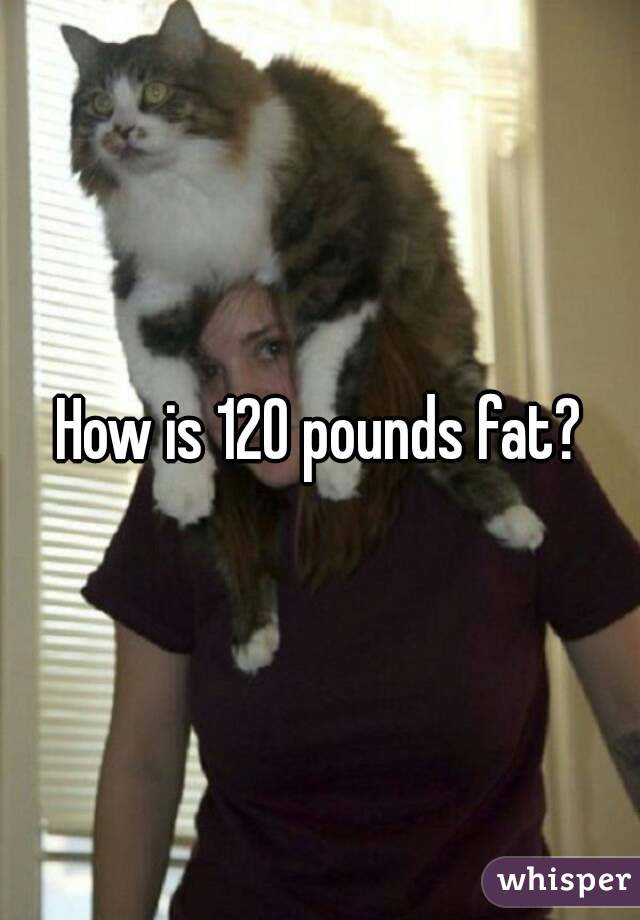 How is 120 pounds fat?