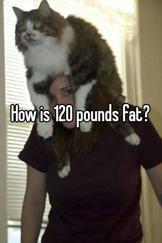 how-is-120-pounds-fat