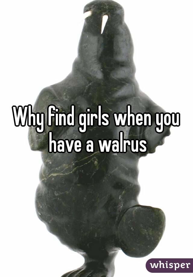 Why find girls when you have a walrus