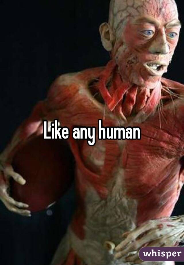 Like any human 