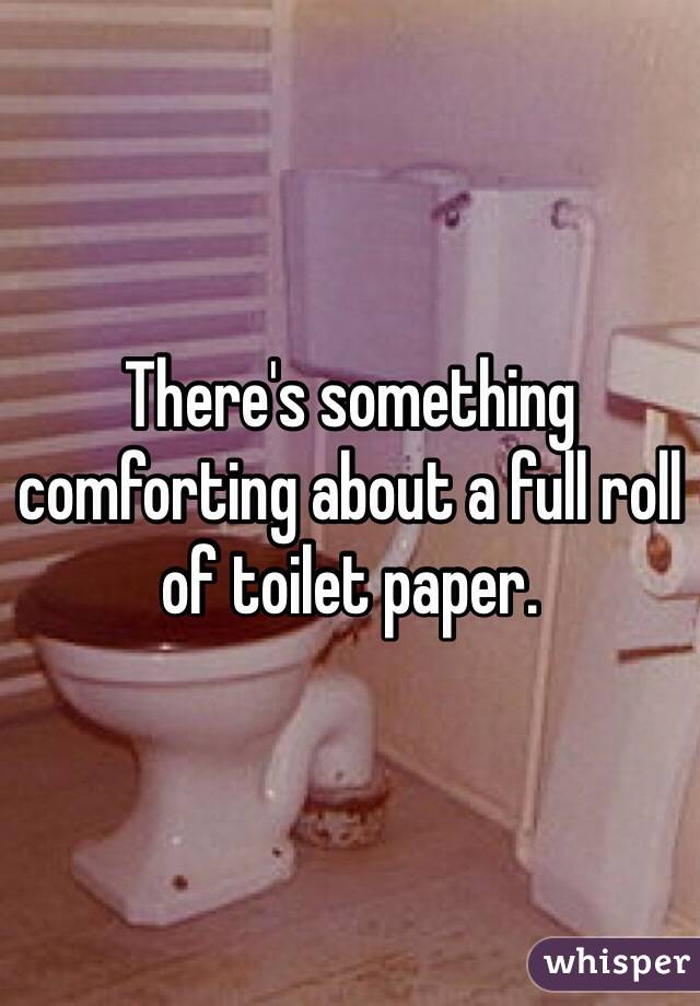 There's something comforting about a full roll of toilet paper.