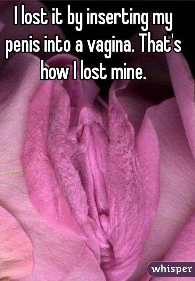 Penis Inserted Into A Vagina 19