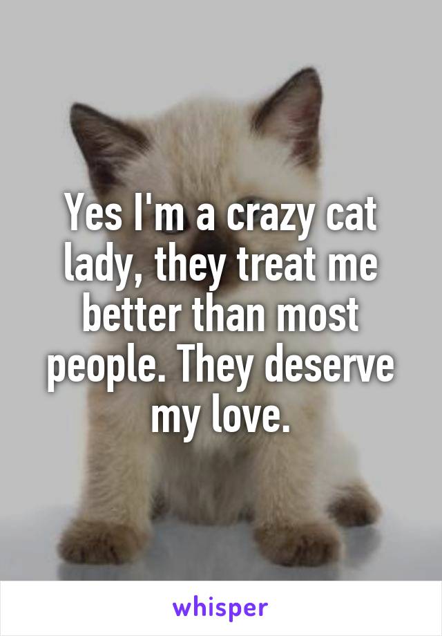 Yes I'm a crazy cat lady, they treat me better than most people. They deserve my love.