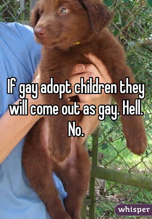 If gay adopt children they will come out as gay. Hell. No. 
