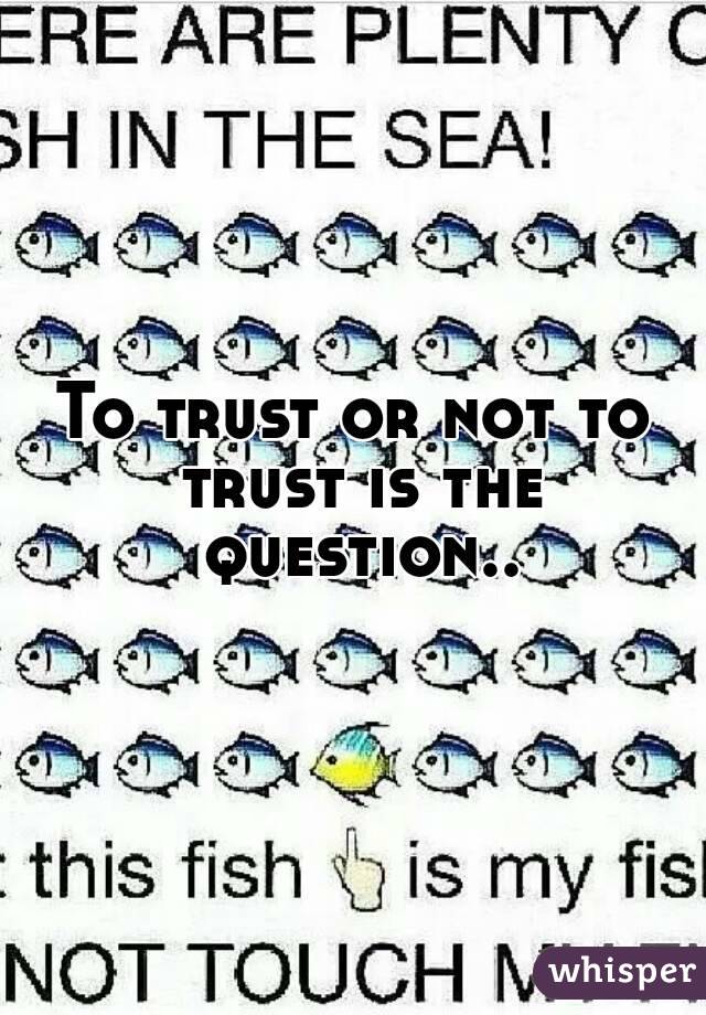 To trust or not to trust is the question..