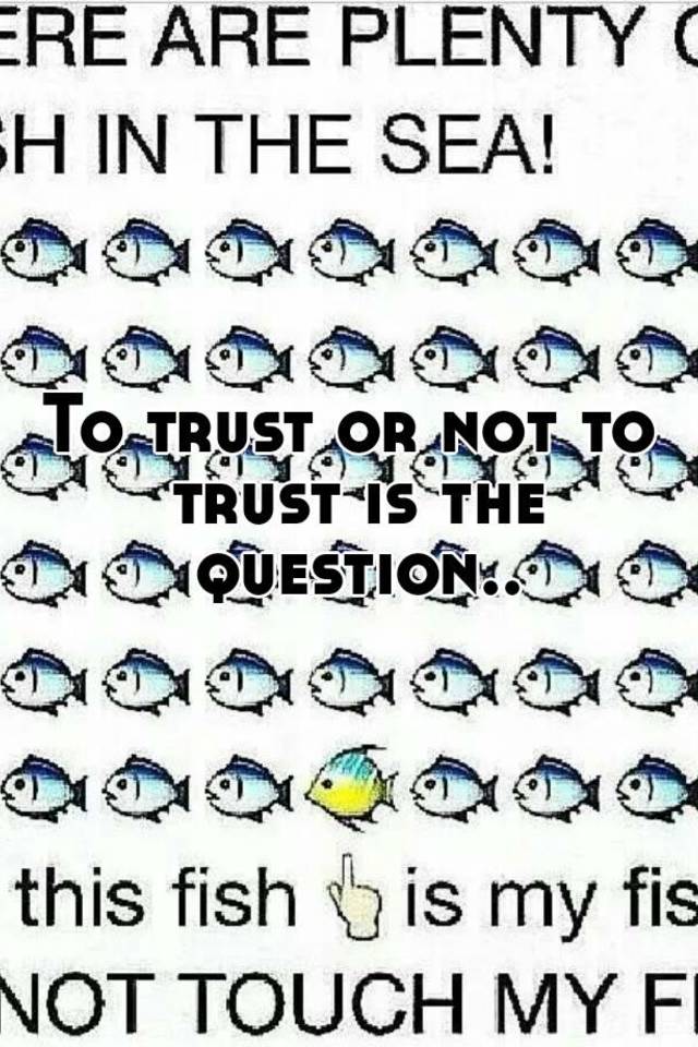 To trust or not to trust is the question..