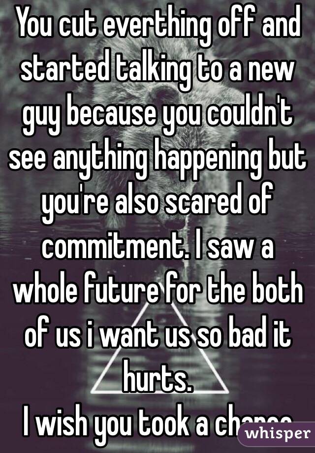 You cut everthing off and started talking to a new guy because you couldn't see anything happening but you're also scared of commitment. I saw a whole future for the both of us i want us so bad it hurts. 
I wish you took a chance