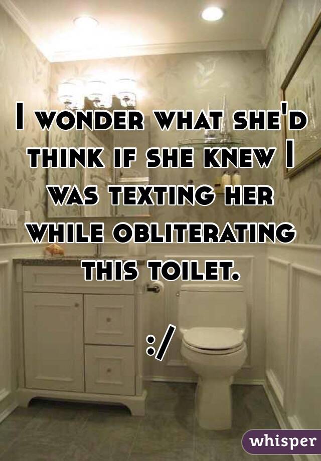 I wonder what she'd think if she knew I was texting her while obliterating this toilet. 

:/