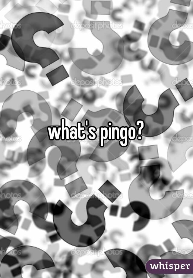 what's pingo?