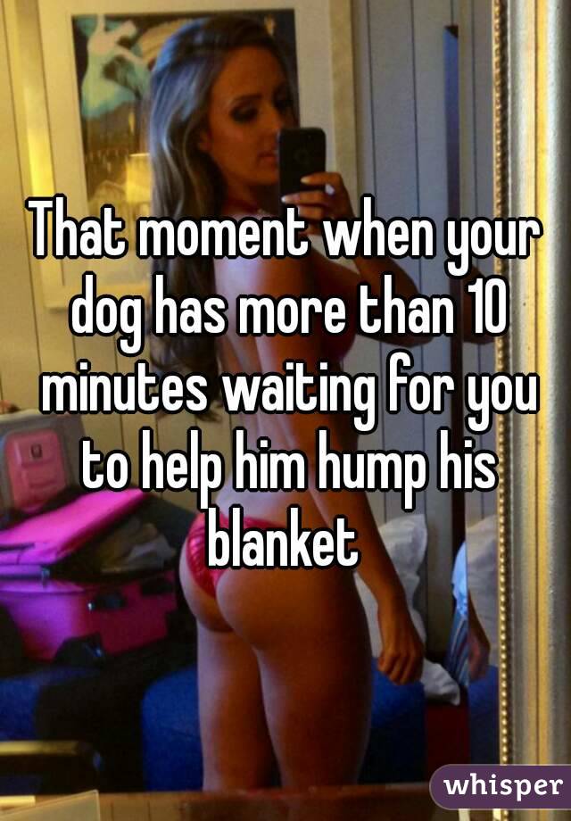 That moment when your dog has more than 10 minutes waiting for you to help him hump his blanket 