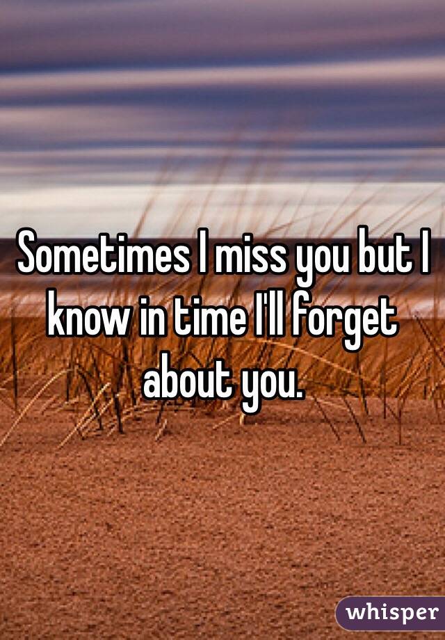 Sometimes I miss you but I know in time I'll forget about you.
