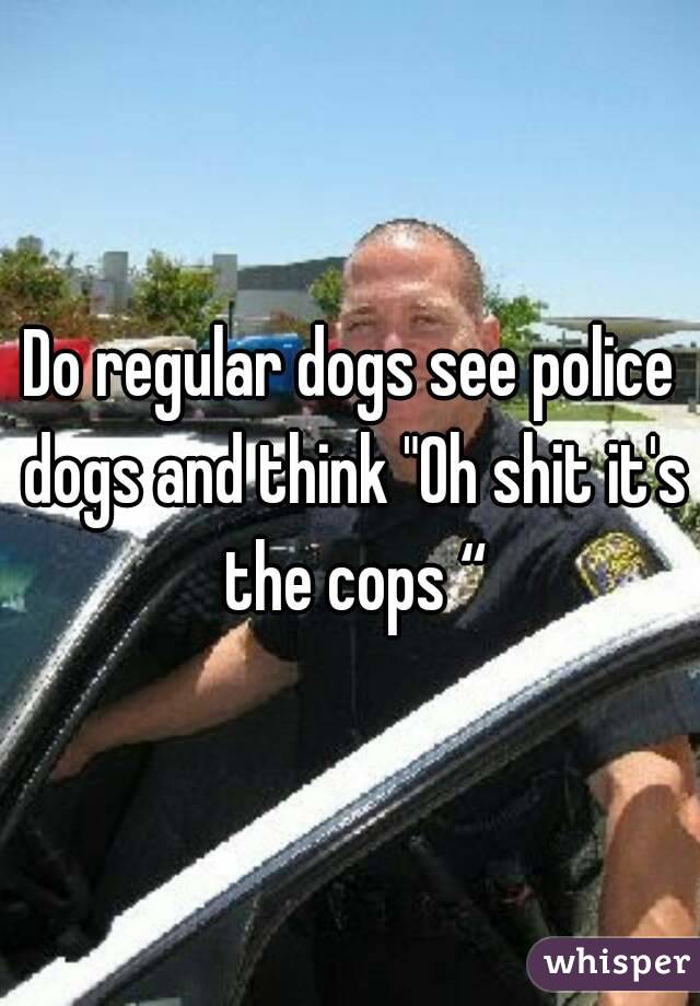 Do regular dogs see police dogs and think "Oh shit it's the cops “