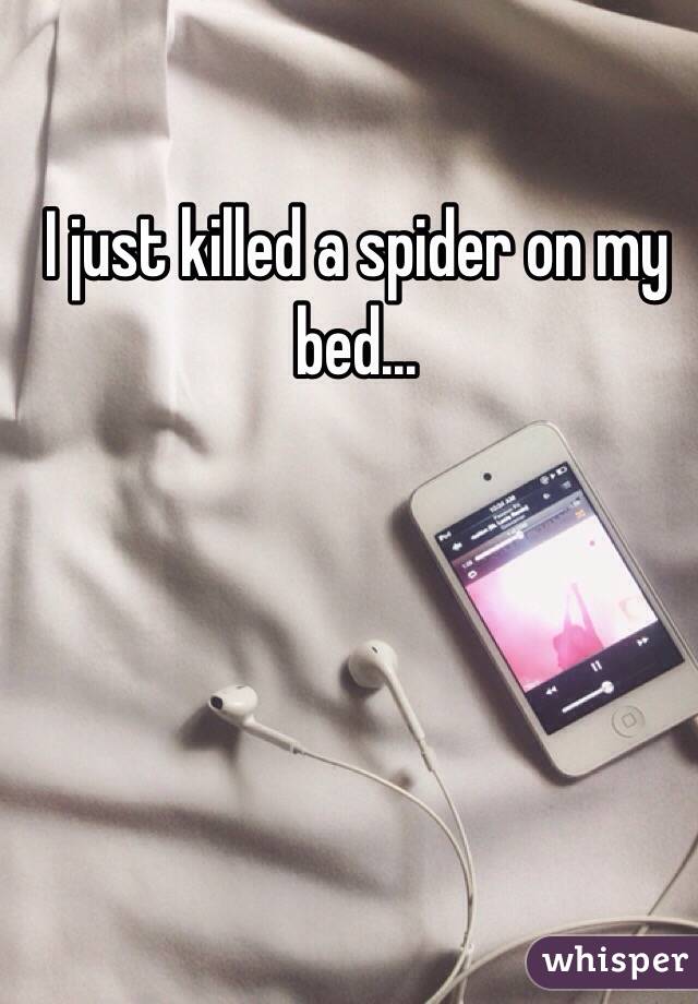 I just killed a spider on my bed...