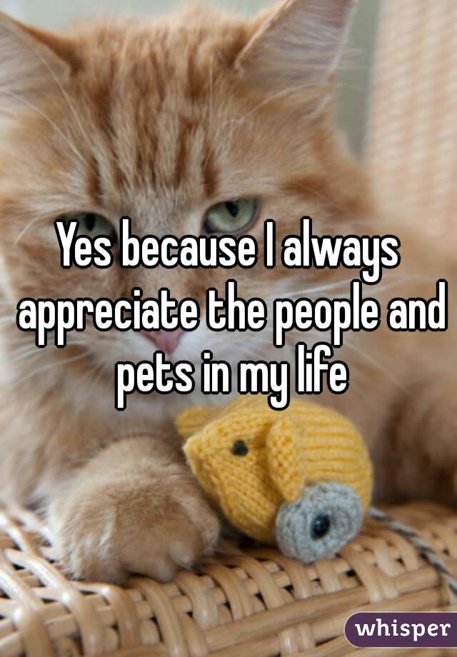 Yes because I always appreciate the people and pets in my life